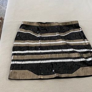 Express skirt